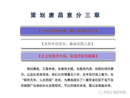 唐昌古镇旅游小镇发展策划与概念规划方案